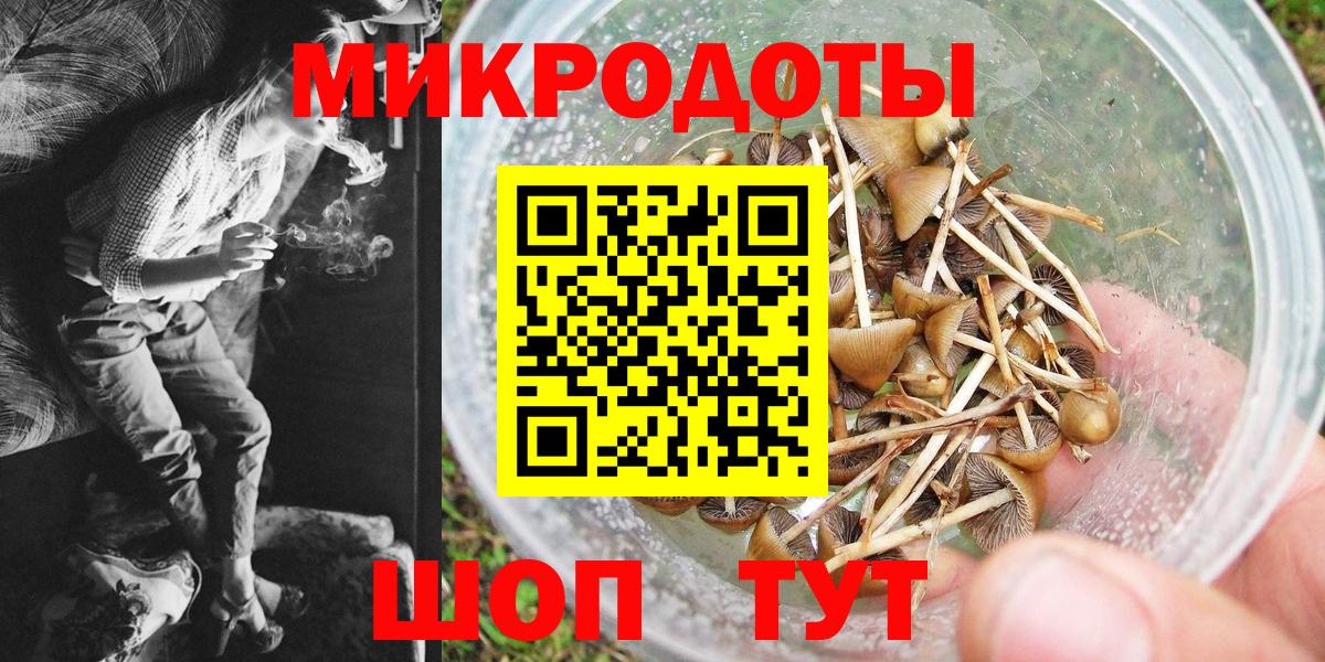 Россия  Галлюциногенные грибы Psilocybe  Галлюциногенные грибы мухоморы  Вход с VPN 
