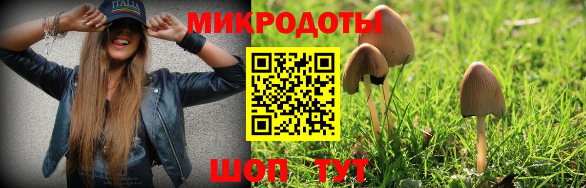 Псилоцибиновые грибы Psilocybine cubensis Россия